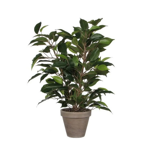 Mica kunstpflanze ficus - mica,
