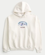 Hollister Herren Hoodie Gr.M