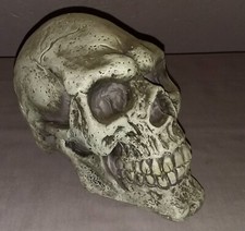 Totenkopf Menschen Schädel Figur Deko Leuchtet im Dunkeln Totenschädel Y 225