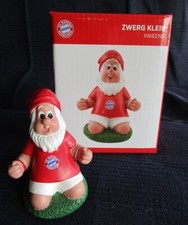 Zwerg kieend -- Bayern