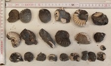 Auswahl bzw. Sammlung von