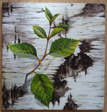 Deko HDF - Wald Birken Stamm Rinde Natur Trieb Blätter