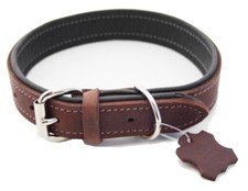 Hundehalsband große Hunde