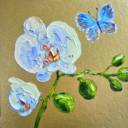 Orchideen blumen schmetterling - orchideen,