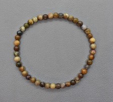 Echtes VERSTEINERTES