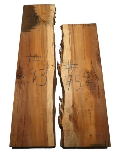 Eibe holz eibenholz - 1x,