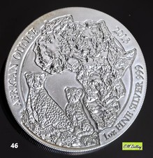 Ruanda African  2013 Gepard