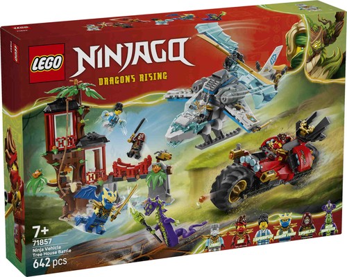 Lego ninjago showdown - showdown, am
