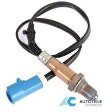 Lambdasonde Nach Kat