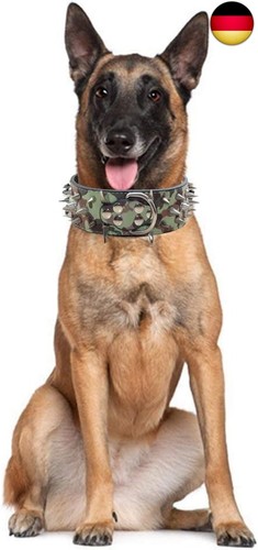 Hundehalsband mit spitzen