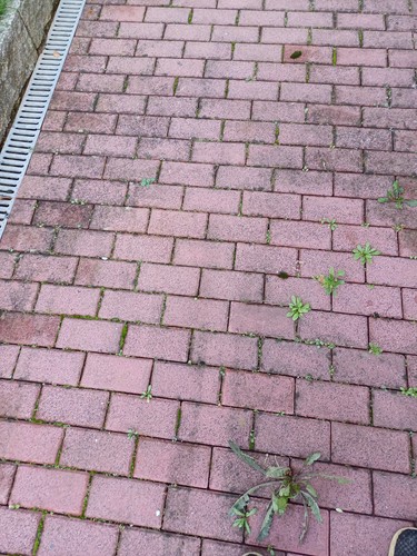 Terrassenplatten - , &