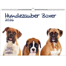 Hundezauber Boxer DIN A3