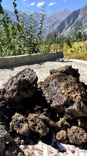 Shilajit reine premium - (reine,