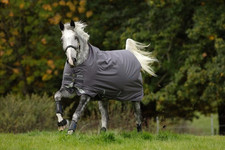 Horseware Ireland 130 (6'0) Excal/Plum & Silver Outdoordecke 0g Amigo® Bravo 12