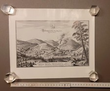 Wildemann F. B. L. Freye