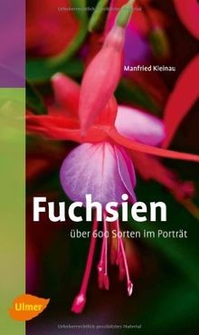 Fuchsien über 600 - fuchsien:,