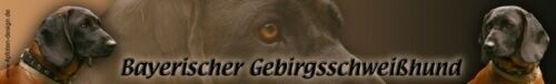 BAYERISCHER
