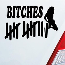 Auto Aufkleber Strichliste Bitches Tally List Frau PKW 15x9 cm Sticker Heckschei