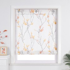 Transparent Raffrollos mit