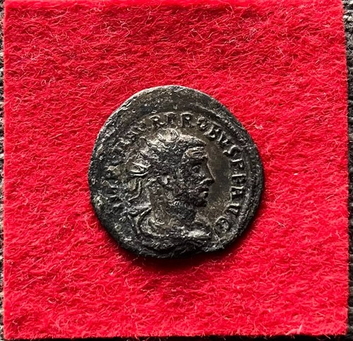 Probus antoninian kaiser 98 - probus,