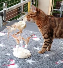 Katzenspiel Karlie Natural Wobbler Nava Sisal und Luffa ca. Ø 15 x H 25 cm Natur