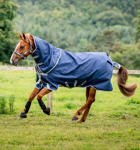 Horseware amigo bravo 12 - horseware, amigo®