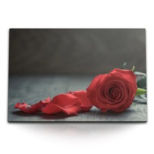 120x80cm Wandbild auf Leinwand