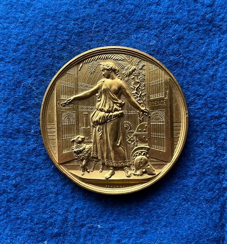 Einseitige bronzemedaille - einseitige,