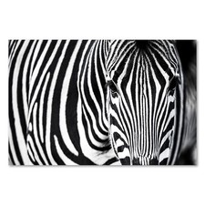 Postereck 3920 Poster Leinwand