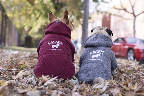 Canada pooch cozy caribou - pooch,