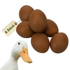 6x Legeeier Kunsteier Nesteier