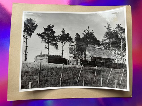 Groß foto nl - groß,