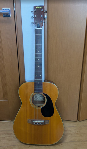 Takamine elite 120 vintage - takamine,