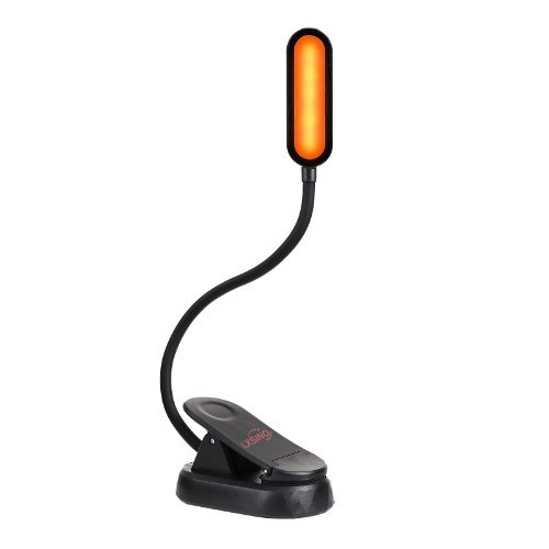 Buchlampe bernstein - buchlampe,