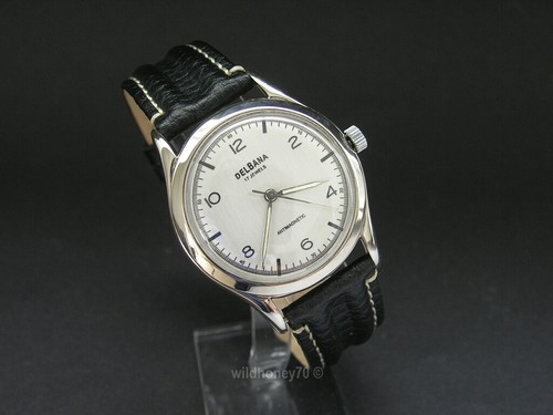 Delbana watch jewels - 17,