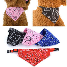Haustierhund Bandana