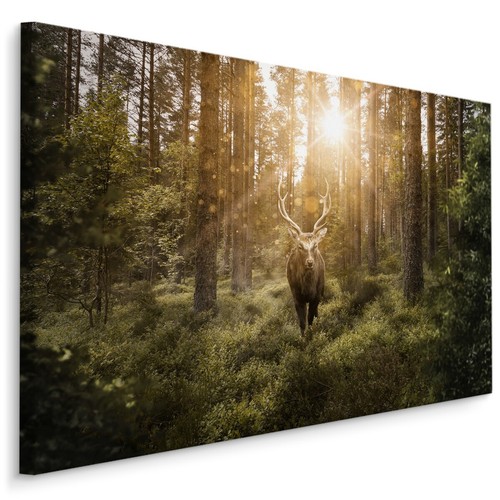 Canvas leinwand bilder - canvas,