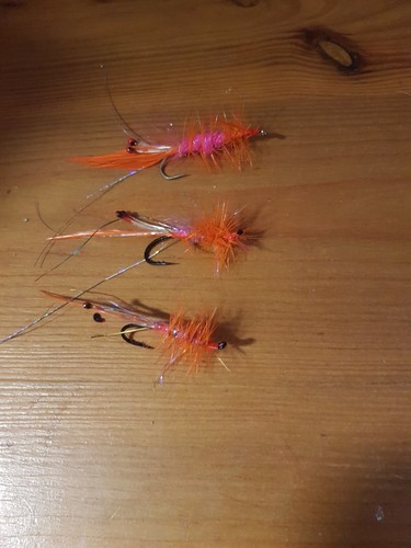 3st shrimp garnele - 3st., shrimp-garnele-
