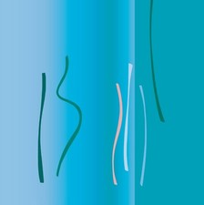 Vorhang Verdunkelungs