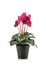 artplants Kunstblumen