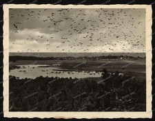 Photo-Rossitten-East