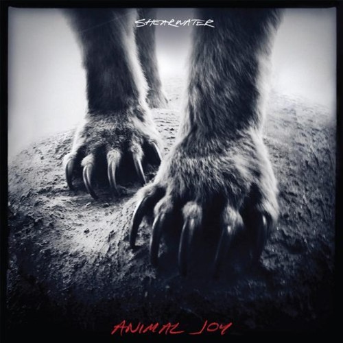 Shearwater animal joy cd - shearwater,