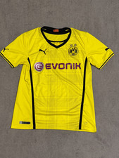 Puma Borussia Dortmund 2013