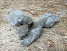 alter Hund Pudel beige rotes