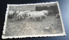 Altes Foto Landwirtschaft DDR
