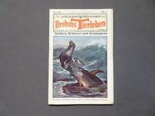 Die schönsten Schilderungen