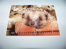 Postkartenbuch Igel  15