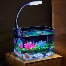 Mini Aquarium mit Klemmlicht
