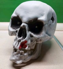 Großer Totenschädel