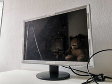 LG W2242T 22 Zoll Plexiglasscheibe Computer Bildschirm Kinder Katzen DVI-D D-SUB